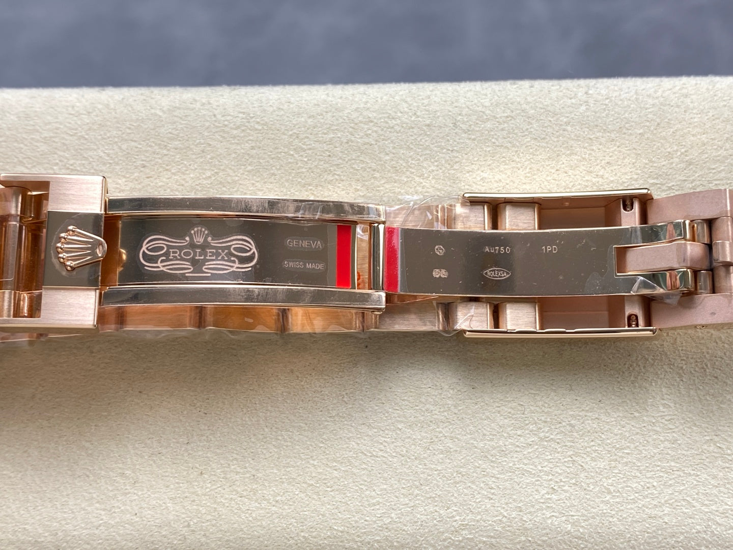 GMT-19