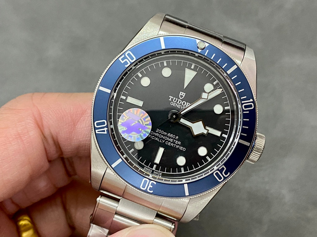 TUDOR-29