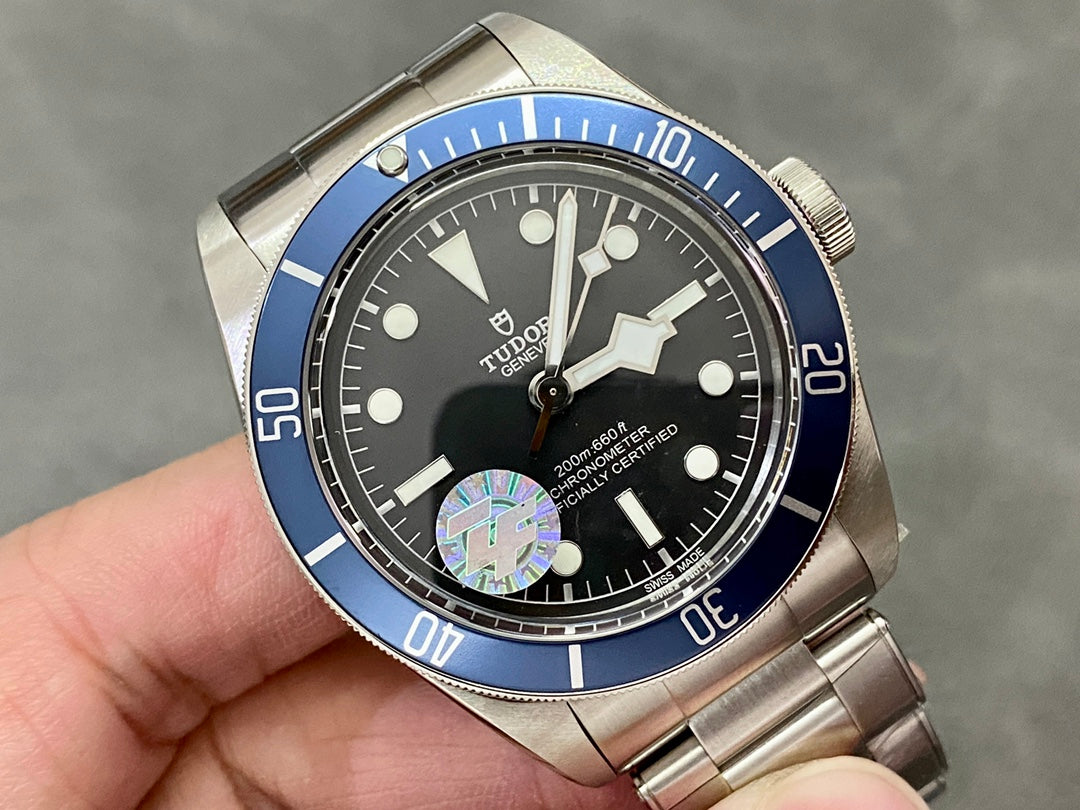 TUDOR-29